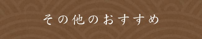 その他のおすすめ